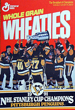 1991 Penguins Stanley Cup Champs, City of Pittsburgh street banner